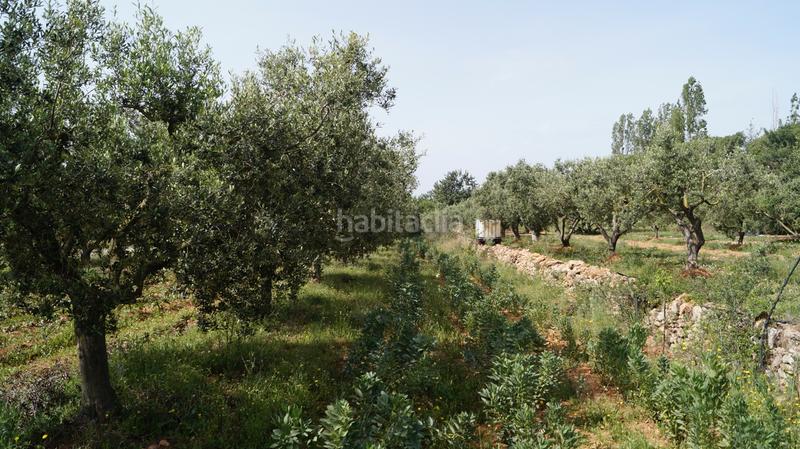 Foto 2983be1b-fc76-4ce3-b461-5678ee718c8a. Finca rústica a autopista del mediterráneo 232 a Torredembarra