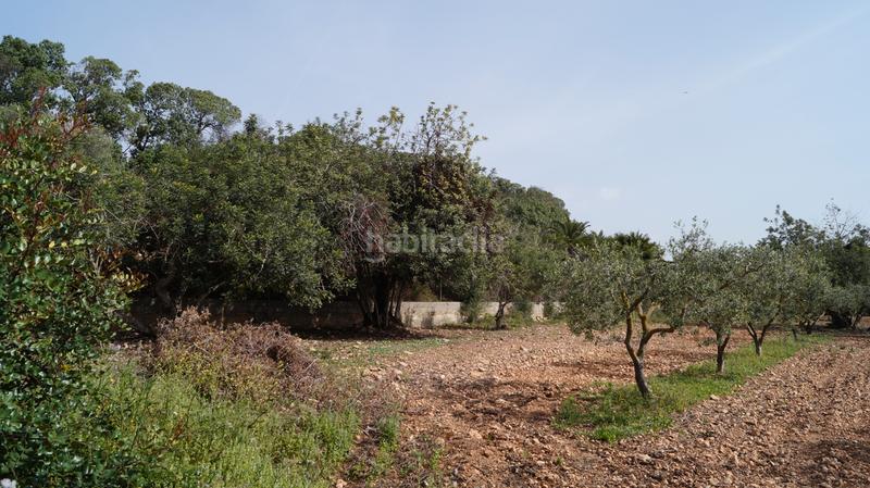 Foto 2b13db20-2eca-439f-a781-c4a19a467fa9. Finca rústica a autopista del mediterráneo 232 a Torredembarra