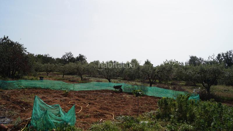 Foto 780c8adb-20f8-4ea7-929f-dd250fbb68dc. Finca rústica a autopista del mediterráneo 232 a Torredembarra