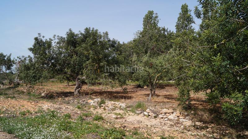 Foto 90ea2ecc-8e73-4de3-abc5-e4170fbe9b62. Finca rústica a autopista del mediterráneo 232 a Torredembarra