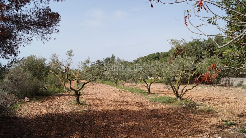 Foto c13e7fcb-066d-4eab-99b1-89b9db5b0b68. Finca rústica a autopista del mediterráneo 232 a Torredembarra