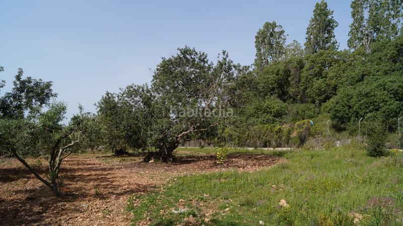 Foto c29fbdcd-0265-4abb-adb6-c3e72396b128. Finca rústica a autopista del mediterráneo 232 a Torredembarra