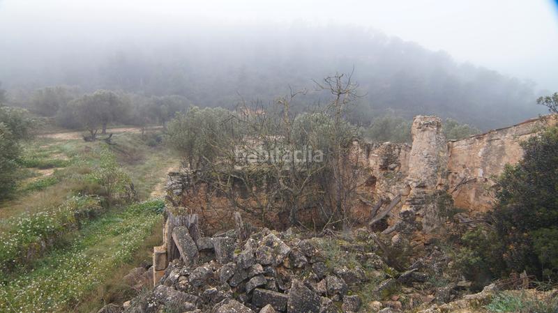 Foto 0d45e252-6a64-4f20-b941-f50937e03170. Fondo rustico in c-221 62 in Batea
