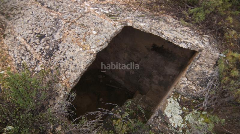 Foto bfcc93f5-e871-469e-abaa-f59347a40859. Fondo rustico in c-221 62 in Batea