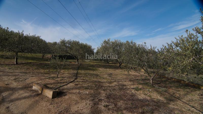 Foto 12f7af74-49a0-4ef2-b3e0-153d283e7319. Masía en t-740 5 fantástica finca rústica con caseta en Falset