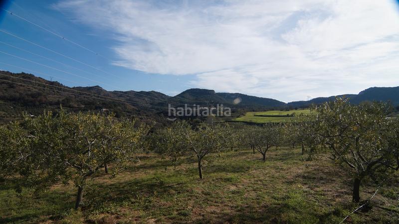 Foto 12f7f7b4-b6c3-45a6-8060-7560c854c12b. Masía en t-740 5 fantástica finca rústica con caseta en Falset