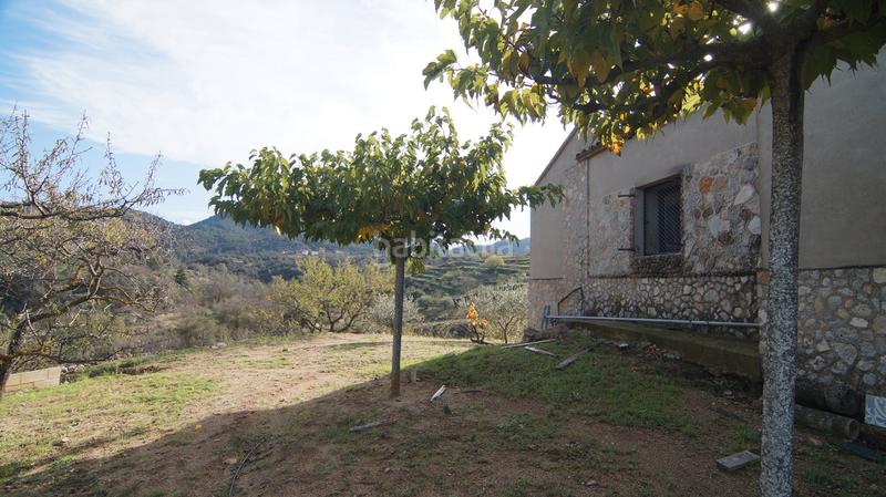 Foto 36a4a372-bf41-45a5-898e-f21d080993fa. Masía en t-740 5 fantástica finca rústica con caseta en Falset