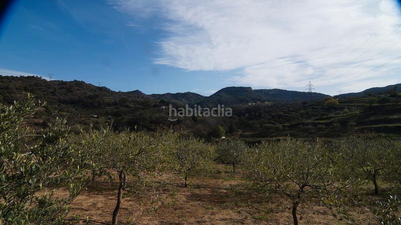 Foto 6dbdf31b-8cc5-4b55-a13d-03bdefabe296. Masía en t-740 5 fantástica finca rústica con caseta en Falset