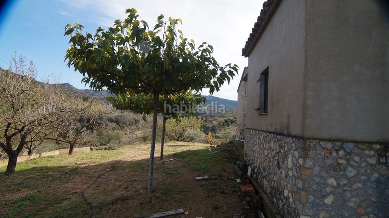 Foto 77e2ce08-f5ab-4c40-b1c5-faaecce36bd5. Masía en t-740 5 fantástica finca rústica con caseta en Falset