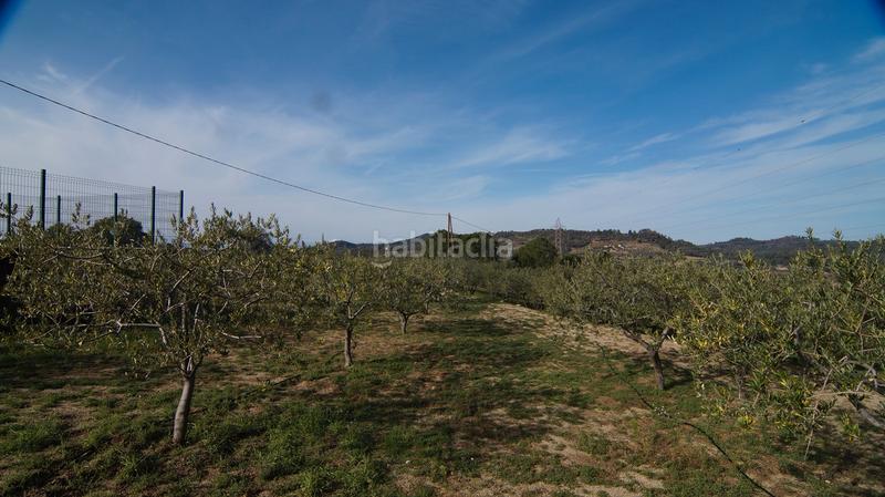 Foto 8a6627f6-f232-4e73-a04c-06b3ae67aa69. Masía en t-740 5 fantástica finca rústica con caseta en Falset