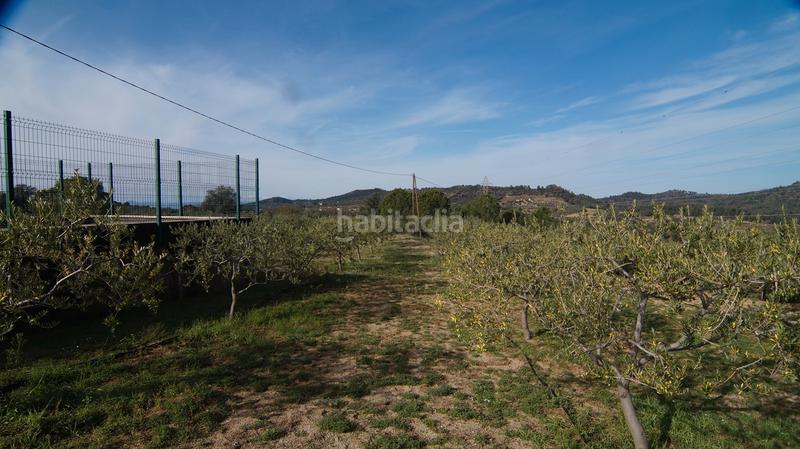 Foto 93352742-4b54-49b6-b780-e800c62388bf. Masía en t-740 5 fantástica finca rústica con caseta en Falset