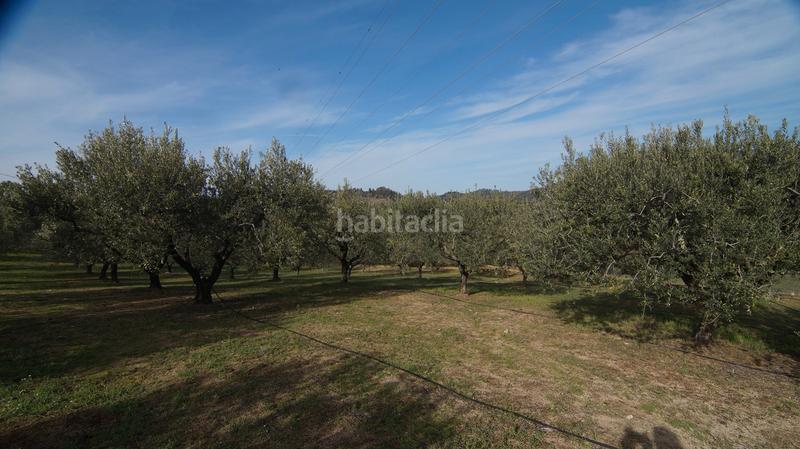 Foto a1149470-f111-41b3-9749-8b6e106f2503. Masía en t-740 5 fantástica finca rústica con caseta en Falset