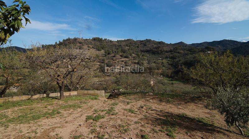 Foto cd1e1219-e7ca-4f0a-8fcc-b36378977e2e. Masía en t-740 5 fantástica finca rústica con caseta en Falset