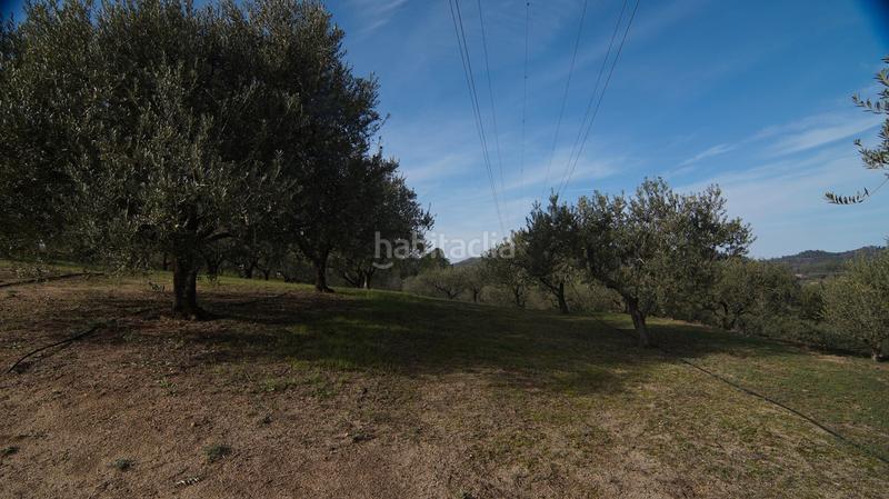 Foto ce3e1696-f4bc-44a1-b23d-3b7fa3800b88. Masía en t-740 5 fantástica finca rústica con caseta en Falset