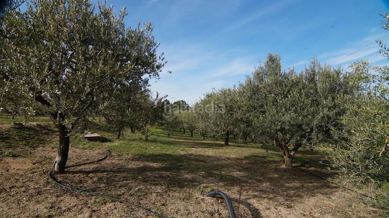 Foto d415088d-2761-403f-b313-0621ccf78f85. Masía en t-740 5 fantástica finca rústica con caseta en Falset