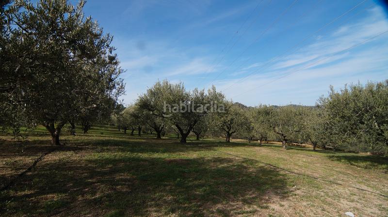 Foto d8e3f79c-43ef-4af8-b023-4fbc28e8b07f. Masía en t-740 5 fantástica finca rústica con caseta en Falset