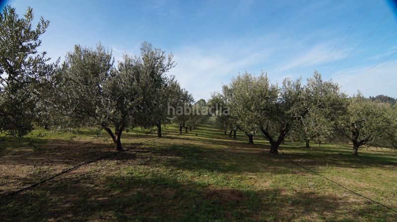 Foto f43817fb-ca7b-4359-b01d-a5a74c610f6b. Masía en t-740 5 fantástica finca rústica con caseta en Falset