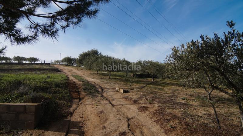 Foto f4c69509-d5bf-4278-b634-51ae2dee5e8f. Masía en t-740 5 fantástica finca rústica con caseta en Falset