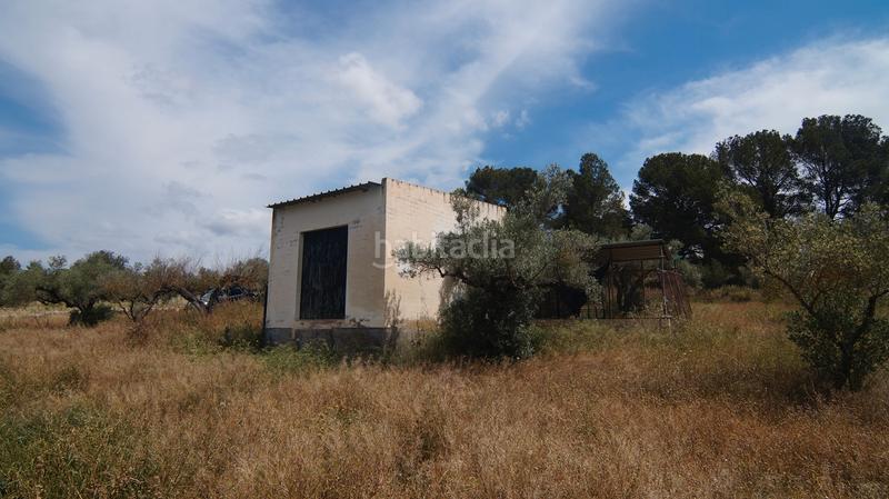 Foto 41279235-38cc-4548-8d6e-6d165873f732. Finca rústica a n/a a Ginestar