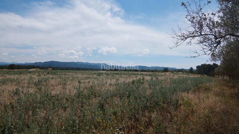 Foto 4c71aa61-e731-49d5-8bb6-0dbe131a8ea7. Finca rústica a n/a a Ginestar