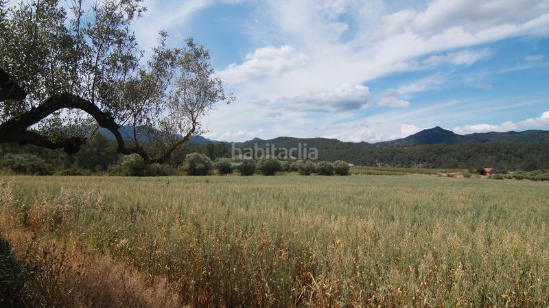 Foto 79f63687-bd2d-4663-88de-a3e32b8a57e0. Finca rústica a n/a a Ginestar