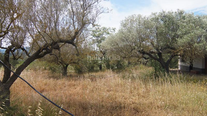 Foto af64cd02-75ca-4eb2-8ce7-d1d5987d4fa6. Finca rústica a n/a a Ginestar