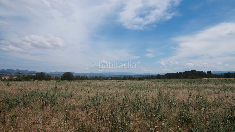 Foto d0a1be3b-37c6-4d6a-8b89-fc08ac17d6e8. Finca rústica a n/a a Ginestar