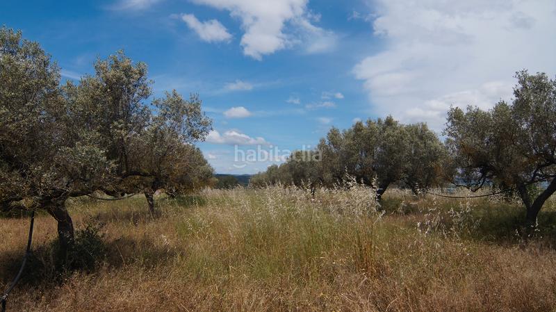 Foto d779699f-c155-496f-9e95-7449d4754bf6. Finca rústica a n/a a Ginestar