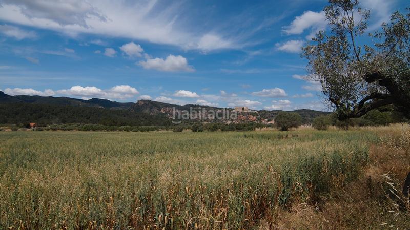 Foto ee7cecb9-e040-476e-a547-2c71f7b95656. Finca rústica a n/a a Ginestar