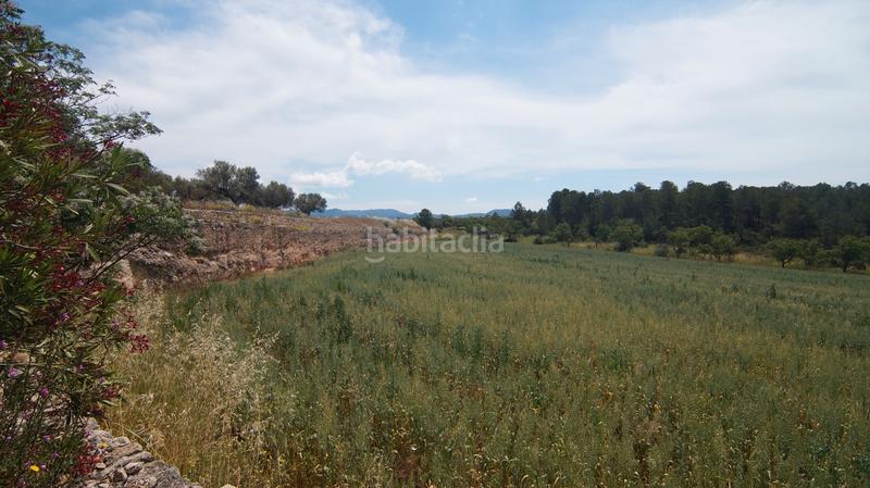Foto eff0520f-58a8-41f6-8ad2-b520d33fc093. Finca rústica a n/a a Ginestar
