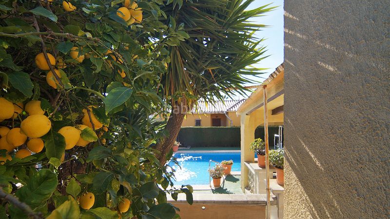 Foto 96066b91-ebdd-4f09-8450-e85c51a67418. Xalet a Roda de Barà