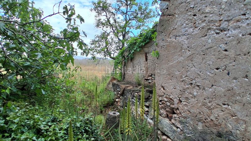 Foto da938aa6-02b1-4c87-af7c-cd7260a95f99. Finca rústica a diseminado rural 18 a Milà (El)