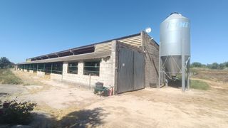 Fabrikhalle in Carrer del canà 37. ¡oportunidad única! finca rústica con explotación ganadera activ