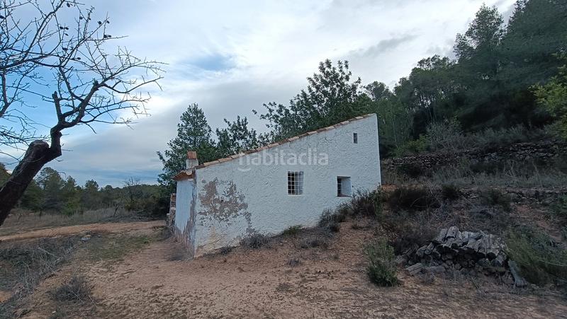 Foto 18e73c75-867c-400e-809e-979d07cd7a19. Finca rústica a n/a a Miravet
