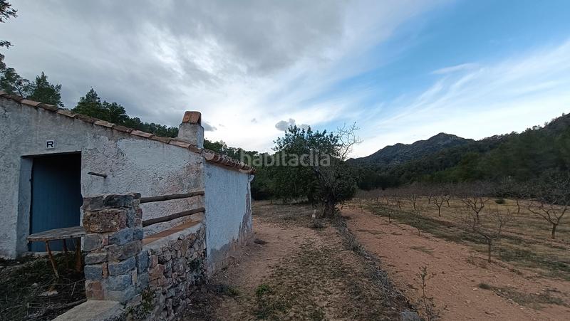 Foto 2b2f1b39-5c2c-43a5-92c3-2fbcc871d0c7. Finca rústica a n/a a Miravet