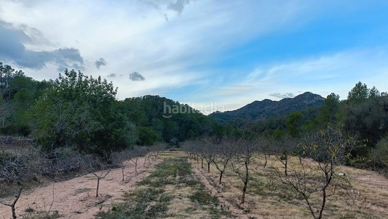Foto 3f6c4b3f-ce7c-4c2a-a925-cfb00d02b900. Finca rústica a n/a a Miravet