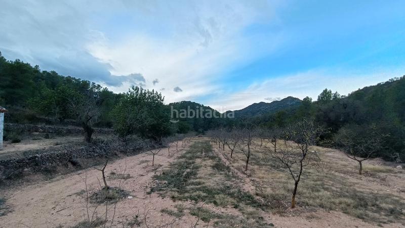 Foto 488750a4-5d0c-4706-9232-29e8313f7d31. Finca rústica a n/a a Miravet