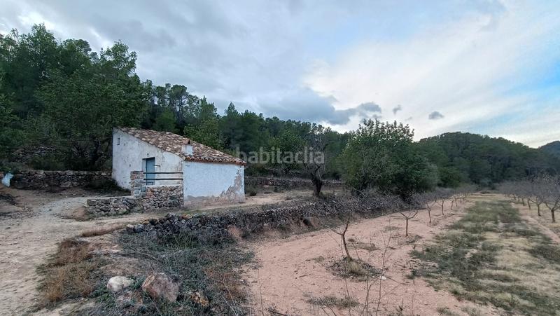 Foto 5c78fa23-c698-407f-bb79-ed1e6a4a5a97. Finca rústica a n/a a Miravet