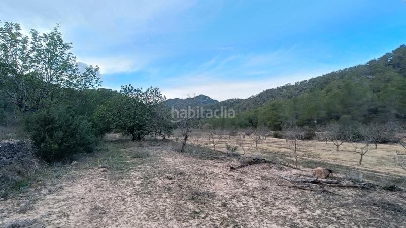Foto aaaca2e1-8fff-4b59-8c70-19851bc8ef4b. Finca rústica a n/a a Miravet