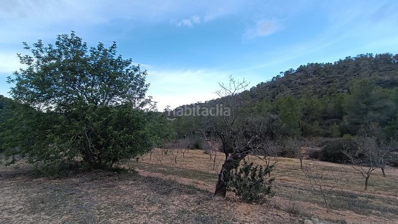 Foto b21d2f0b-ab94-49f3-8355-888a7181a350. Finca rústica a n/a a Miravet
