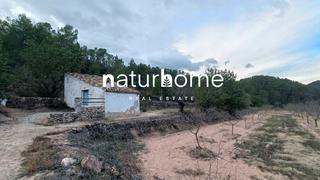 Rural plot in N/a. Finca rústica con caseta en miravet