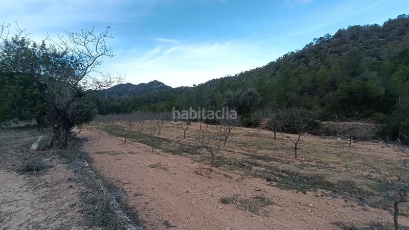 Foto c8bb4424-0c88-475b-80b2-12063b7d9408. Finca rústica a n/a a Miravet