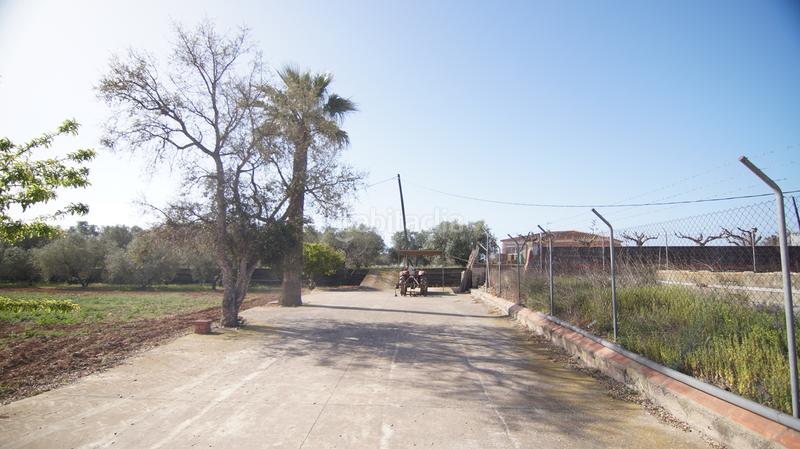 Foto 25604e14-fc60-4388-af56-458d9db3c0ab. Masia a tp-7225 34 a Llevant Reus