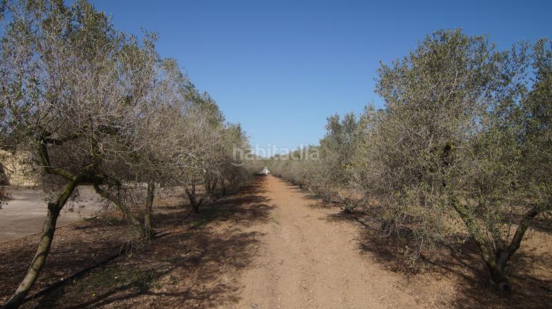 Foto 6a73a824-44a2-43f1-a4b0-d89d4019ac92. Masia a tp-7225 34 a Llevant Reus