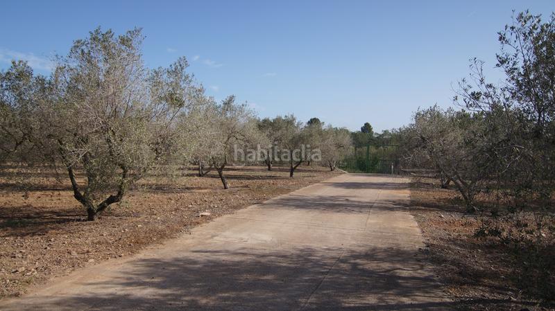 Foto 794f02be-fa3d-4f05-90f8-21df383ee505. Masia a tp-7225 34 a Llevant Reus