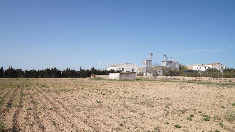 Foto 7f930ad2-92cc-47bf-8589-46da7e2f6cd4. Masia a tp-7225 34 a Llevant Reus