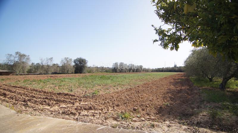 Foto 80bed569-680b-487c-a6c9-35f559d70008. Masia a tp-7225 34 a Llevant Reus