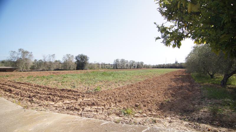 Foto aab2360c-ad61-4ad7-a704-3c1780f06dc6. Masia a tp-7225 34 a Llevant Reus