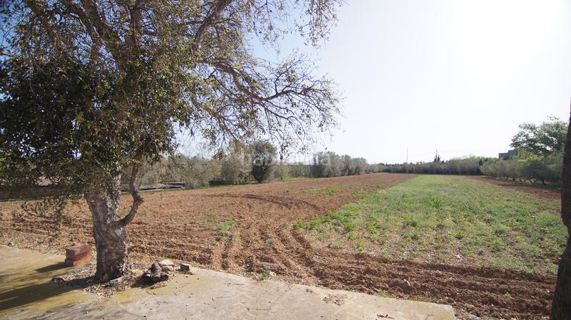 Foto b5cc19ae-824d-4f87-808a-f35923fc08a6. Masia a tp-7225 34 a Llevant Reus