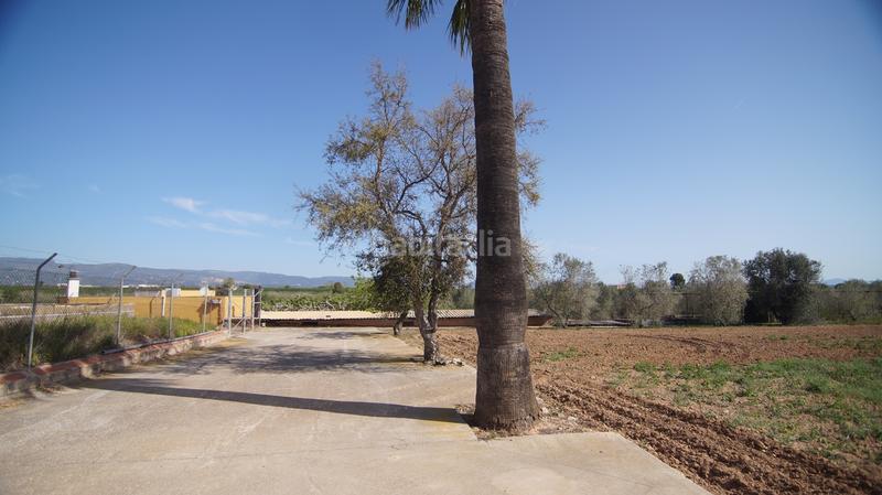 Foto ba82575b-5034-4dd6-be71-45c064861afc. Masia a tp-7225 34 a Llevant Reus